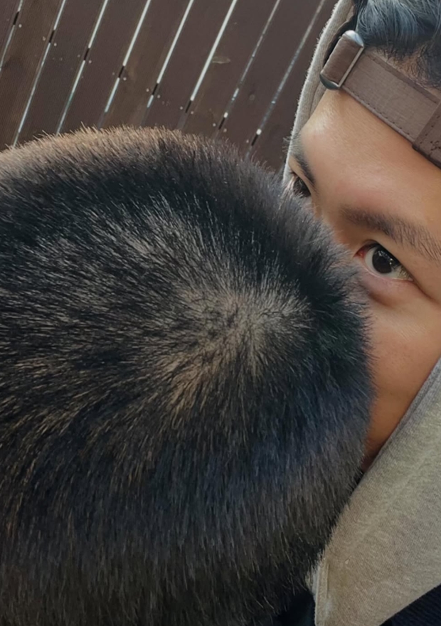 ƼºêÀ̵¥Àϸ® Æ÷Åä