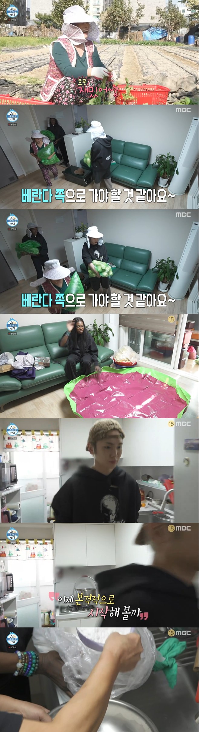 ƼºêÀ̵¥Àϸ® Æ÷Åä