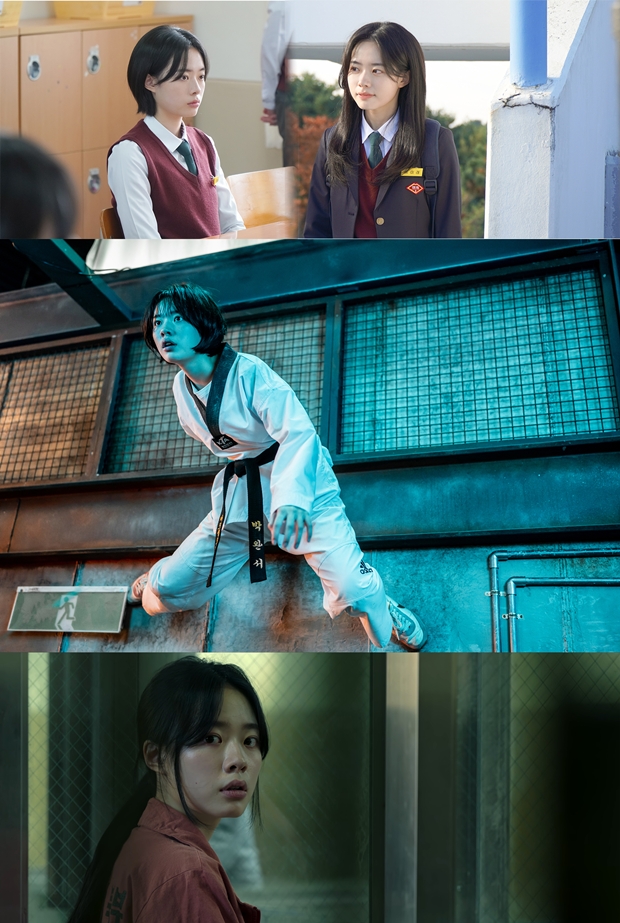 Ƽ���̵��ϸ� ����