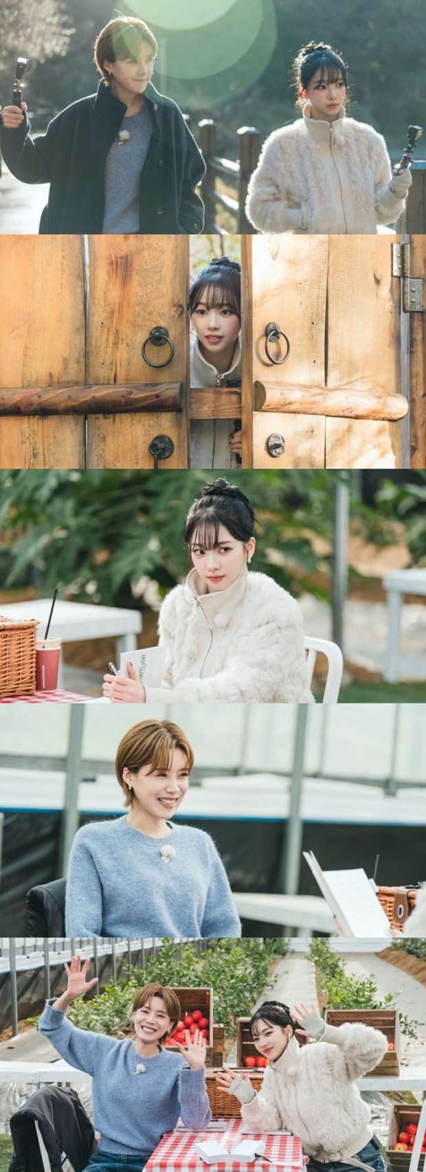 �嵵�� ī����