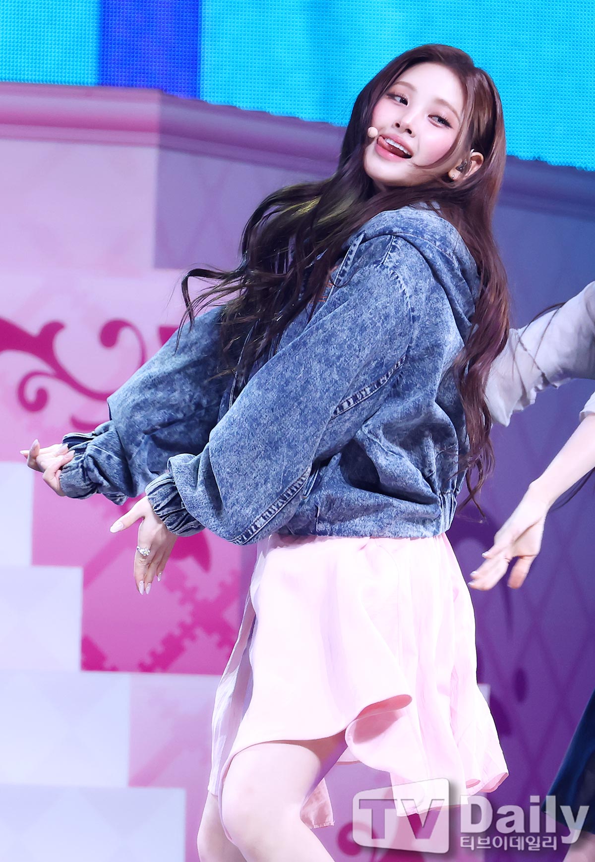 티브이데일리 포토