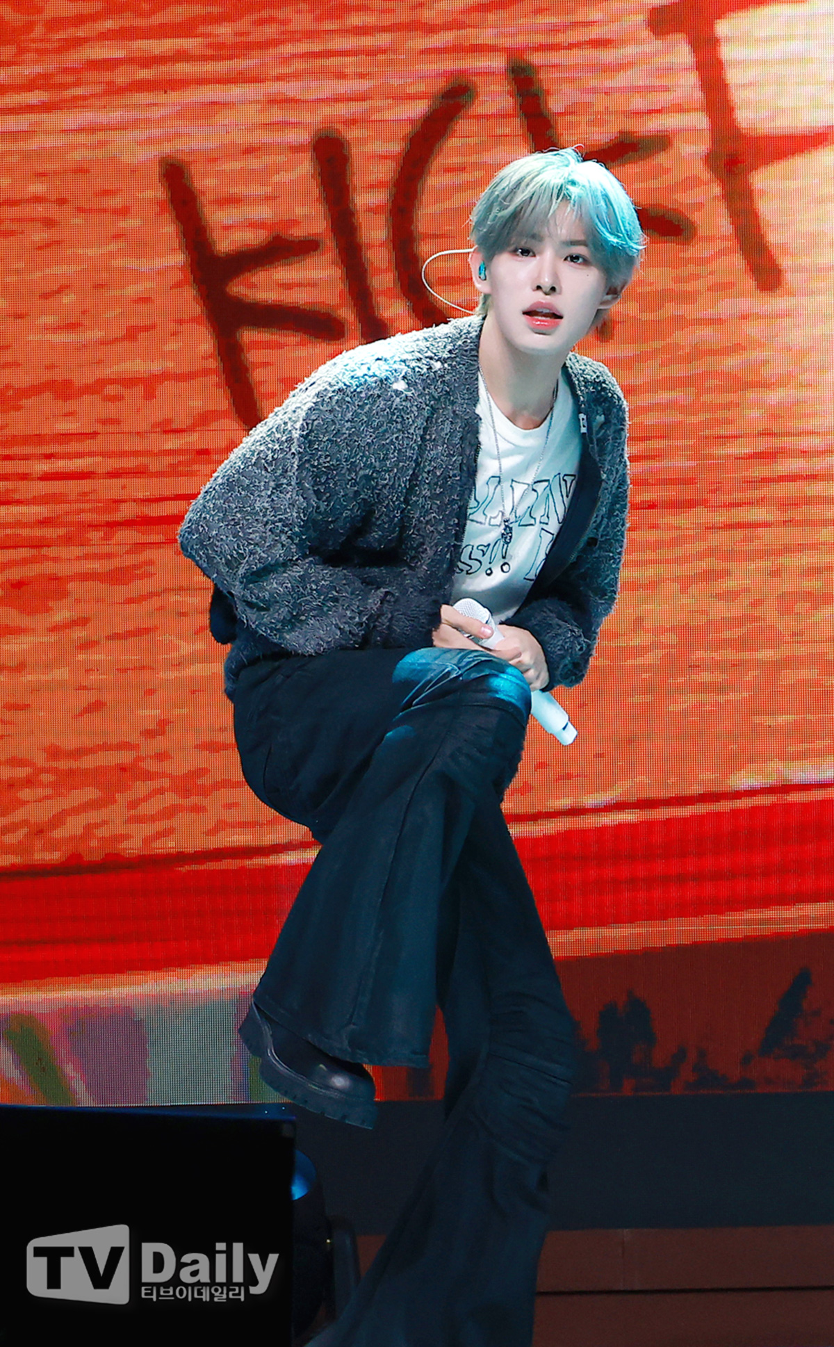 티브이데일리 포토