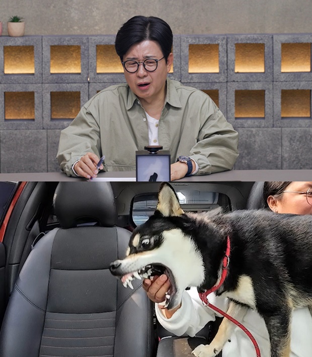 �輺��