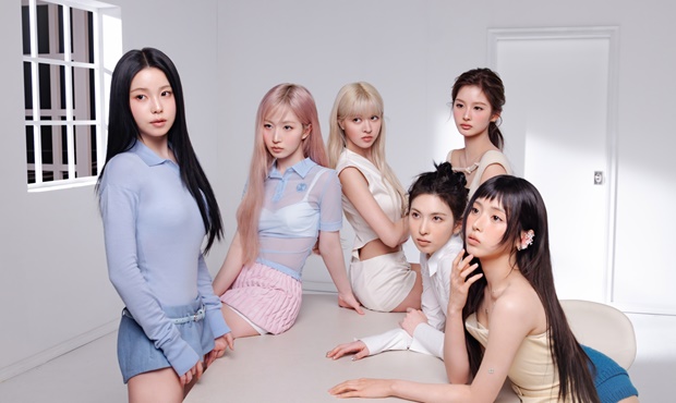 티브이데일리 포토