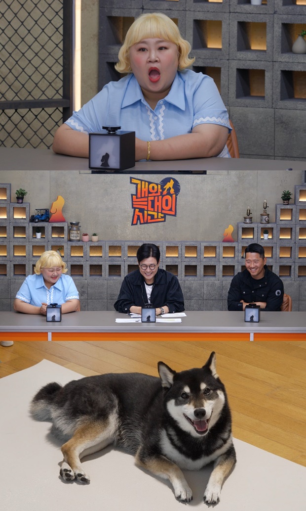 홍윤화
