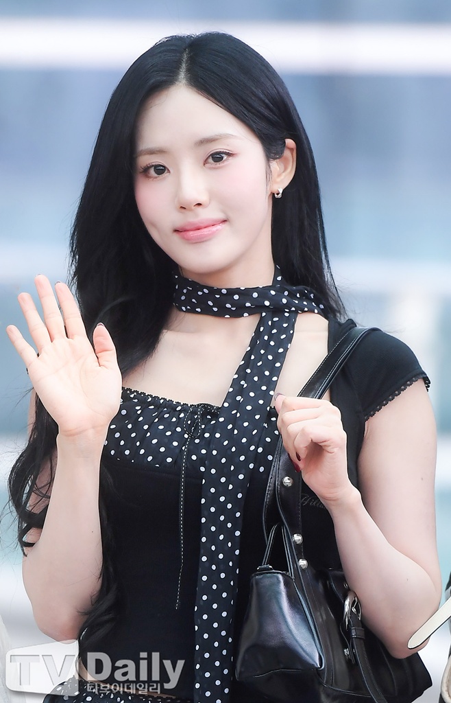 티브이데일리 포토