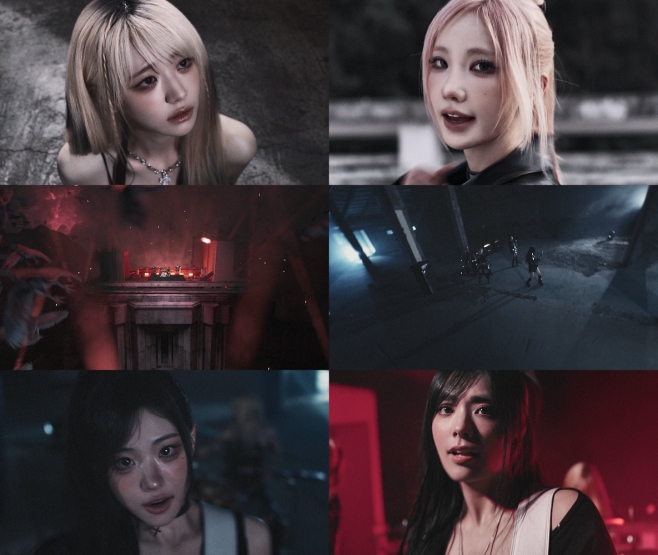 티브이데일리 포토