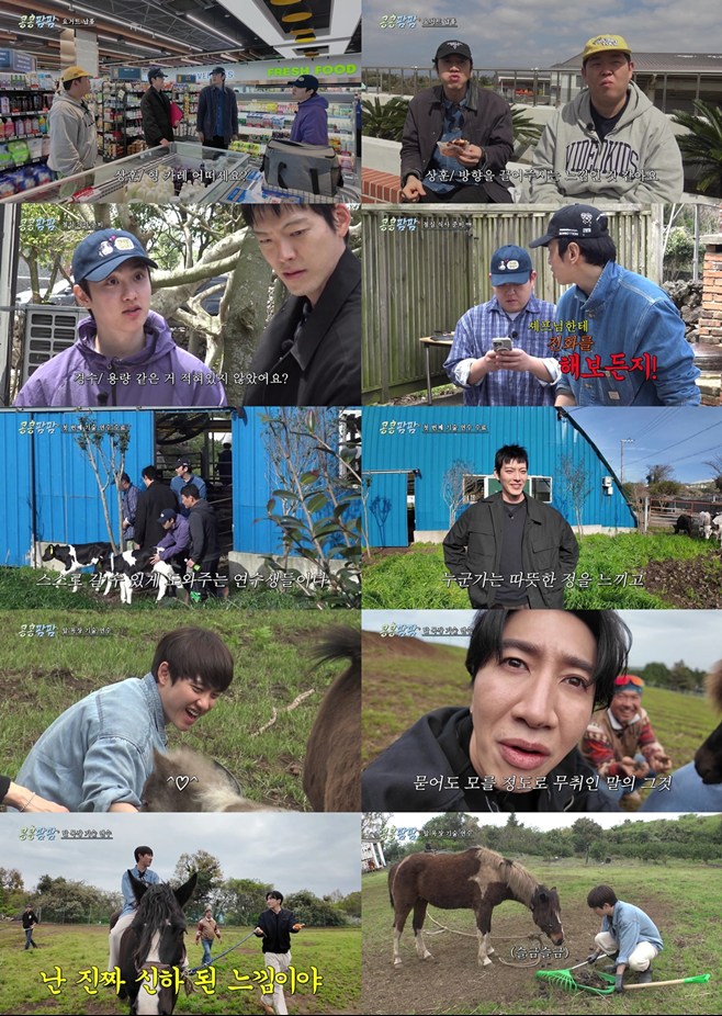 티브이데일리 포토