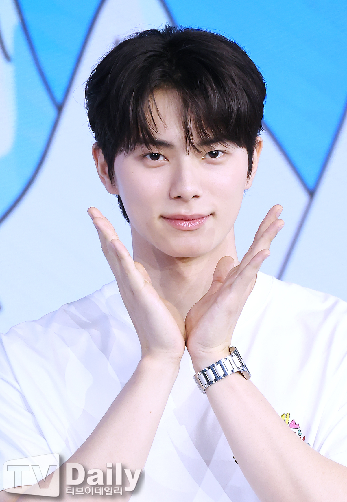 티브이데일리 포토