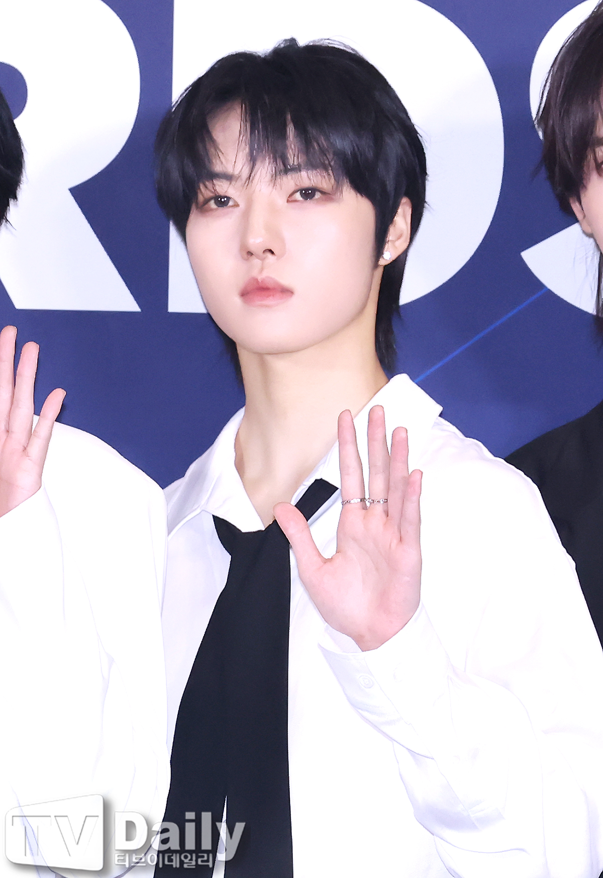 티브이데일리 포토
