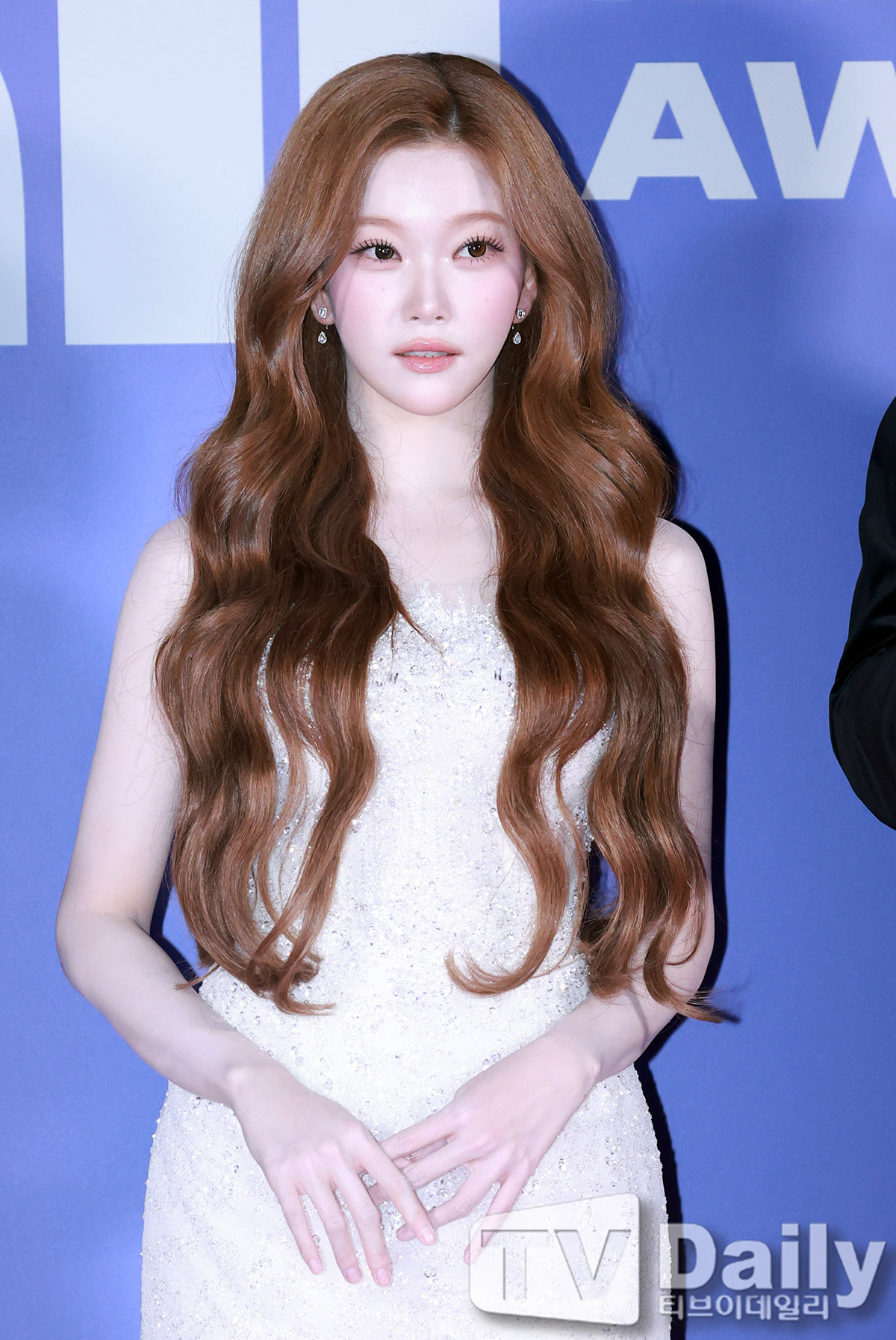 티브이데일리 포토