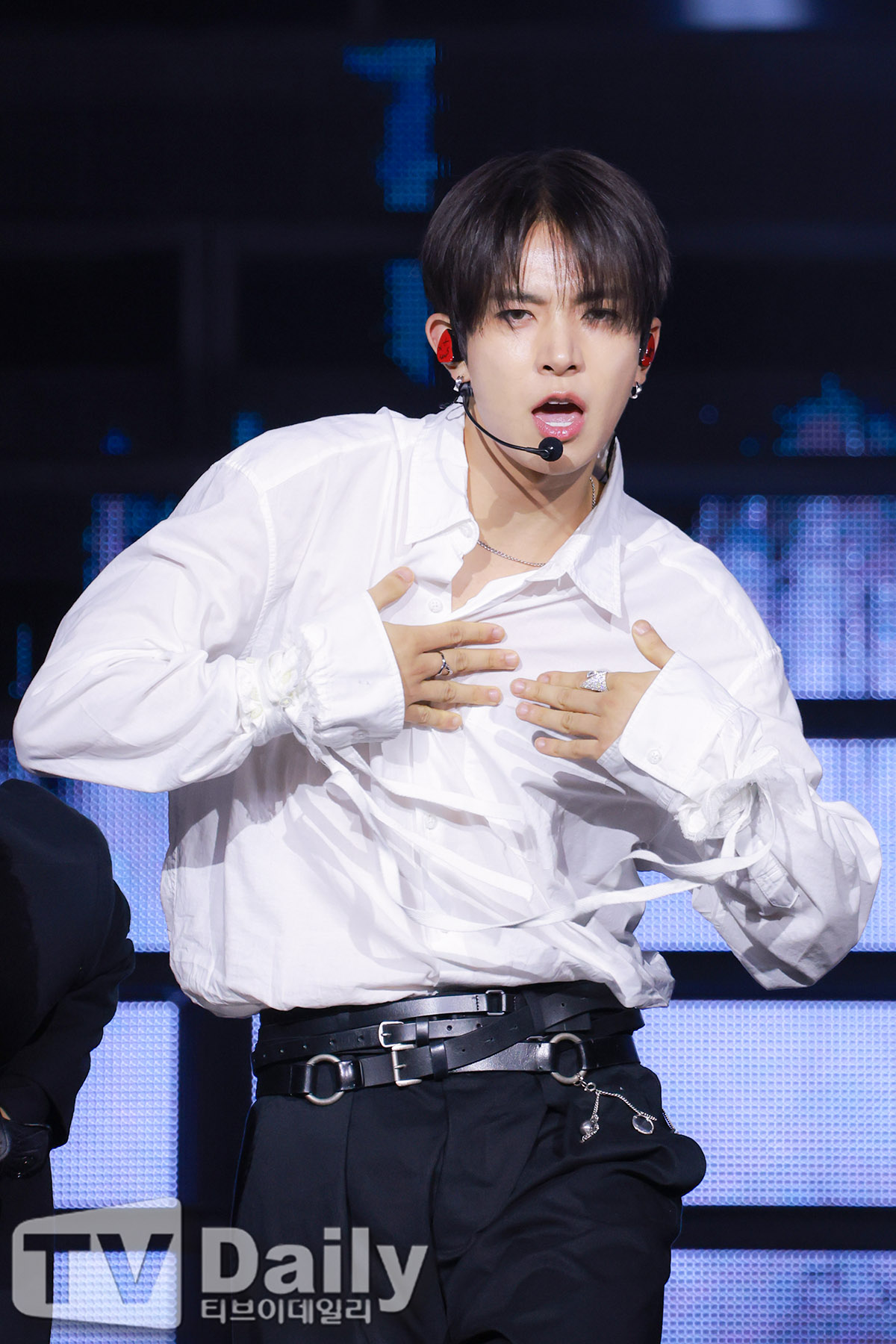 티브이데일리 포토