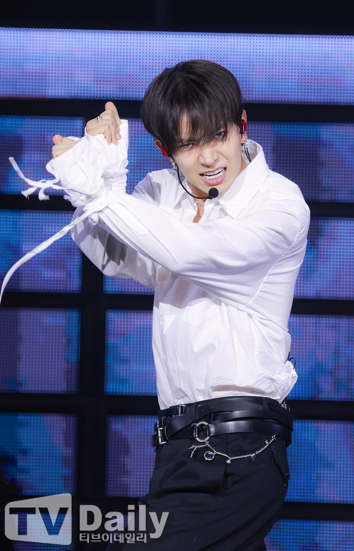 티브이데일리 포토