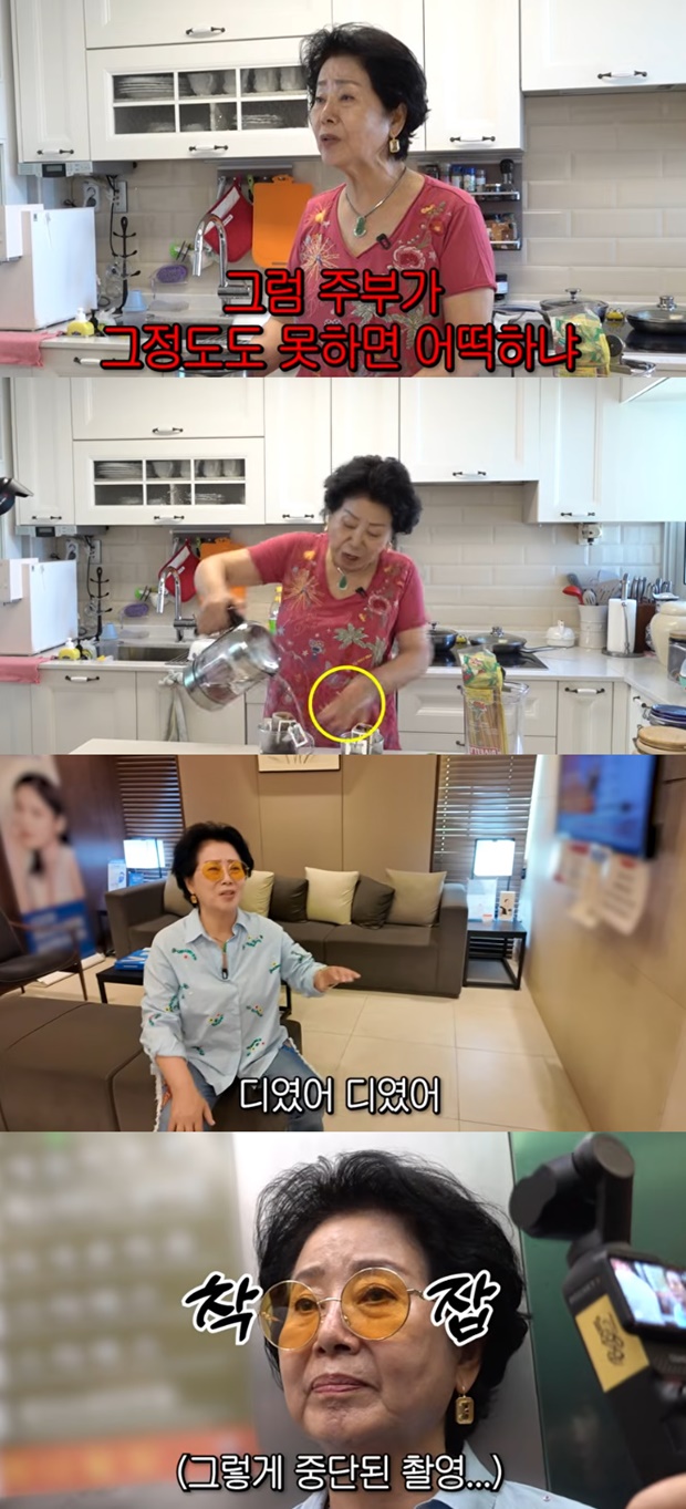 ����뿩