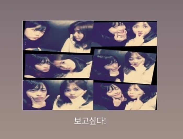������ SNS