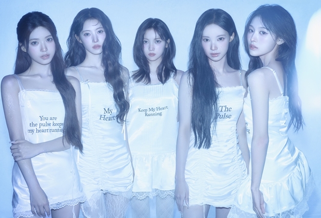 티브이데일리 포토
